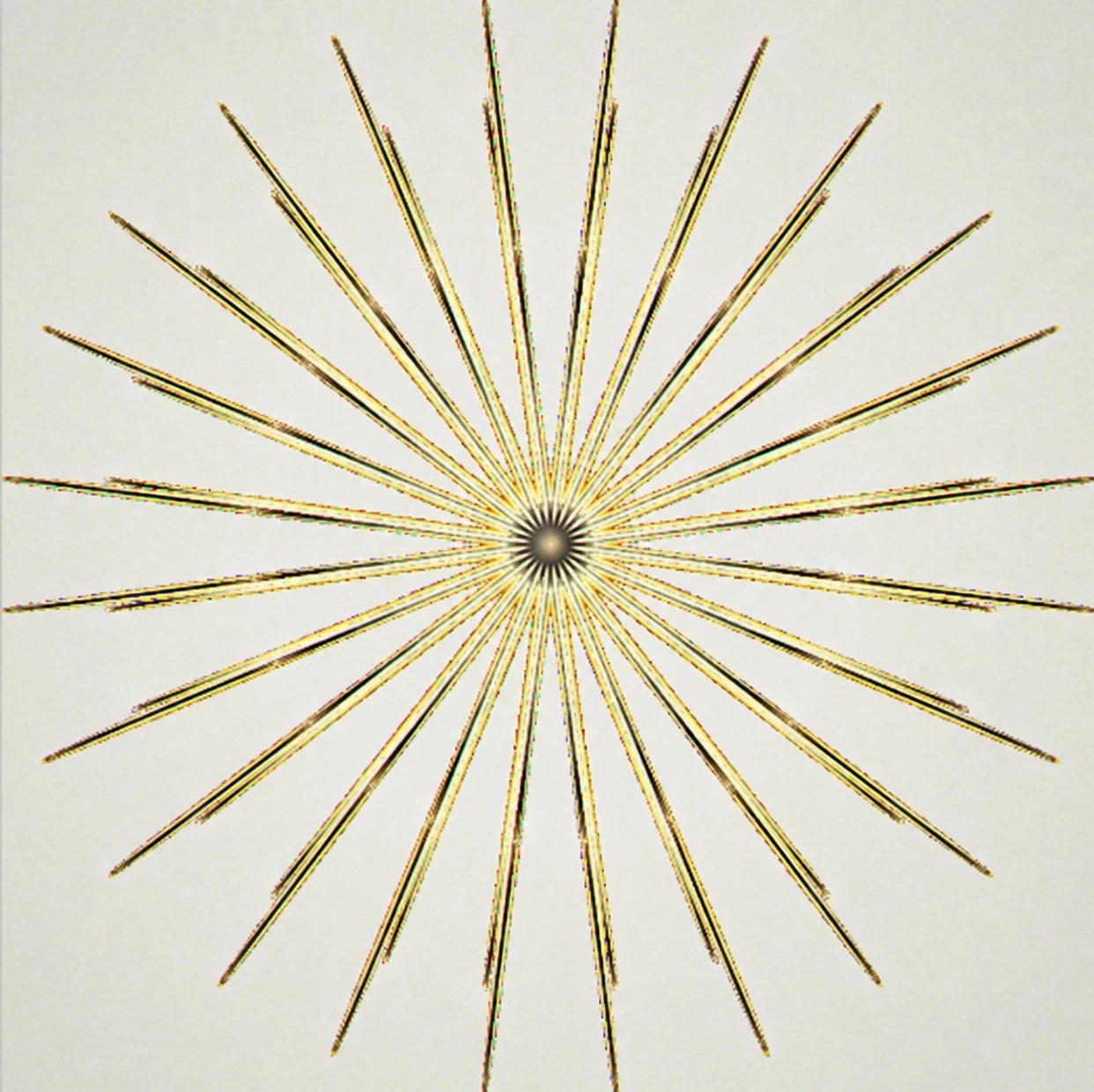RISE floral starburst thumbnail